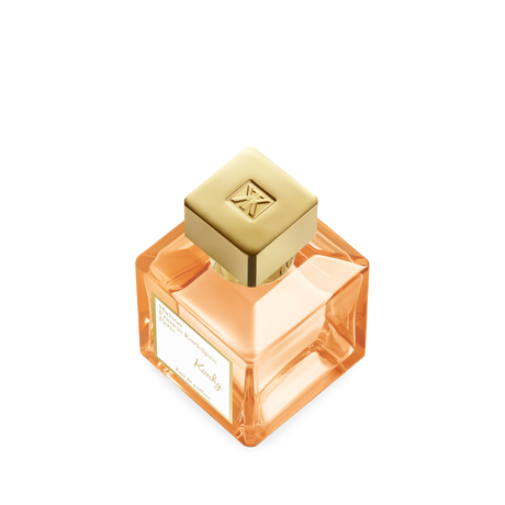 Baccarat Rouge 540 ⋅ Extrait de parfum ⋅ 6.8 fl.oz Baccarat Rouge 540 ⋅ Extrait de parfum ⋅ 6.8 fl.oz
