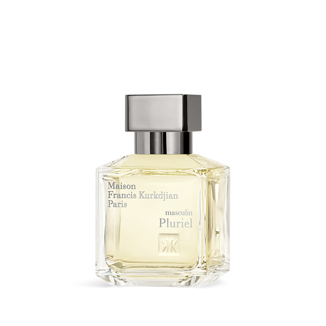 masculin Pluriel