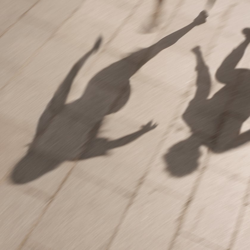 Amyris Sombras en el suelo