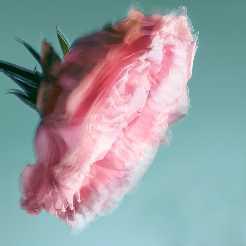 L'Homme À la rose Eau de parfum 1